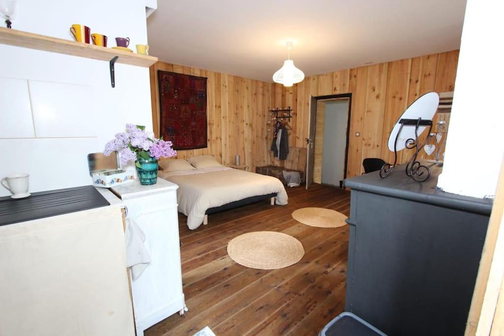 Apartmán Charmant Studio Avec Jardin A La Campagne Sur Le Chemin De Saint Jacques De Compostelle Lauzerte Exteriér fotografie