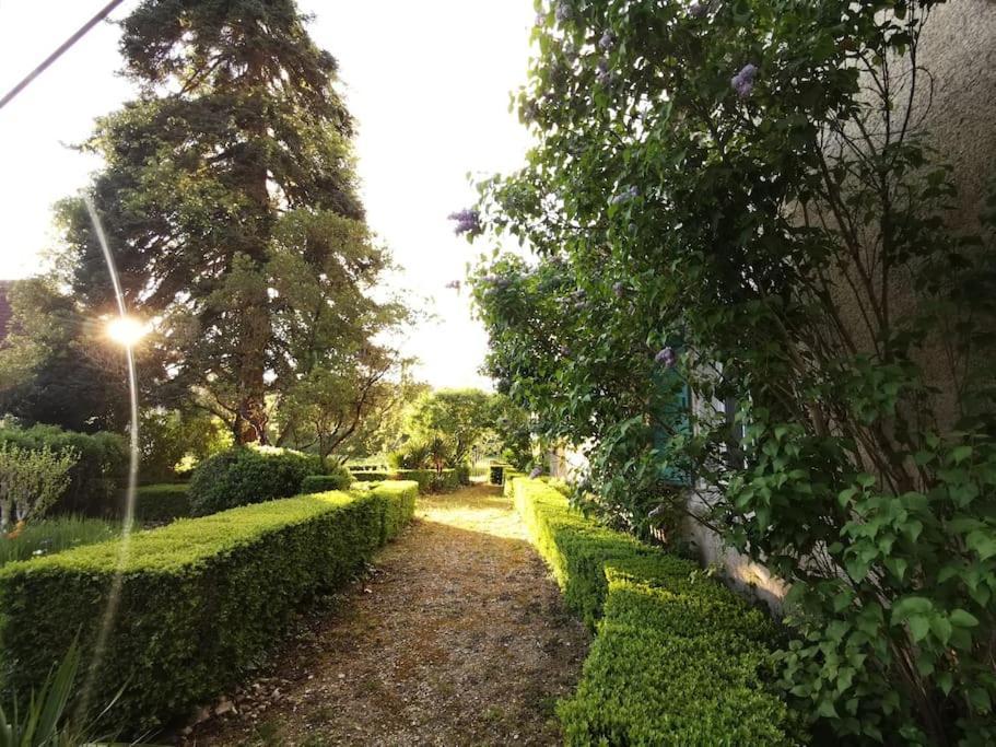 Apartmán Charmant Studio Avec Jardin A La Campagne Sur Le Chemin De Saint Jacques De Compostelle Lauzerte Exteriér fotografie