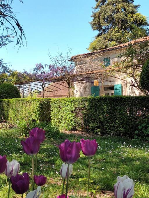 Apartmán Charmant Studio Avec Jardin A La Campagne Sur Le Chemin De Saint Jacques De Compostelle Lauzerte Exteriér fotografie